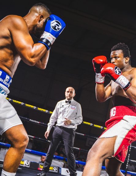 Adrian King Boxer